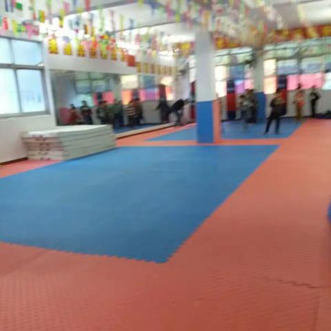 武之梦武术馆2017年训练计划！