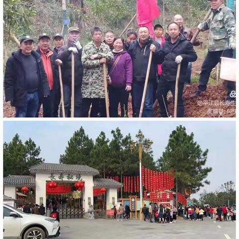 平江县长寿生态林场的美篇
