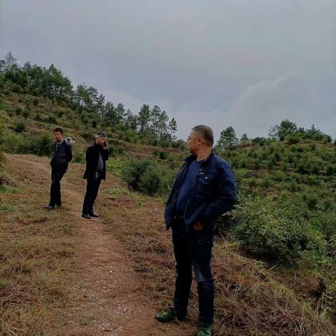 党建引领，改革促发展。今秋油茶采摘，乐享丰收喜悦主题党日活动……