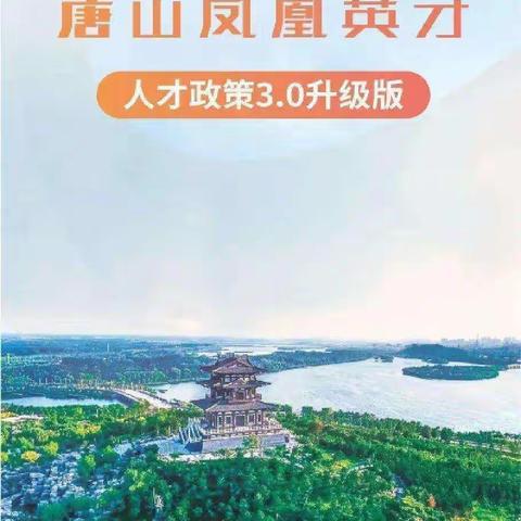 滦州市王店子镇小高庄小学唐山凤凰英才人才政策3.0升级版宣