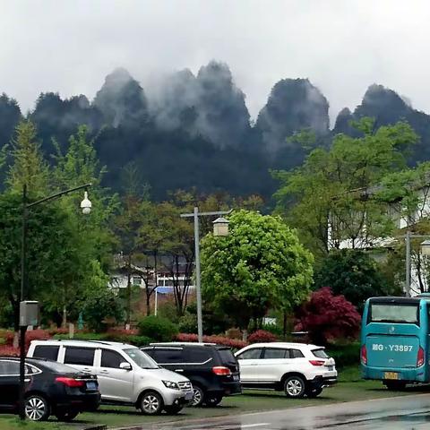 张家界山上雨中雾的风景