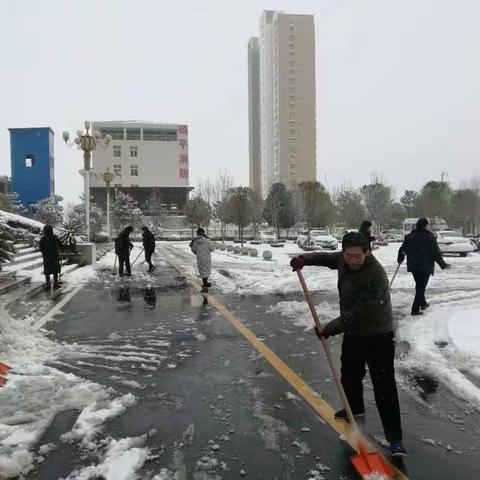 镇平法院:组织干警扫雪 方便群众诉讼