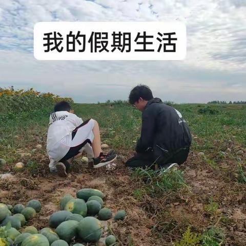 南园街小学五年级（一班）张恩齐假期生活