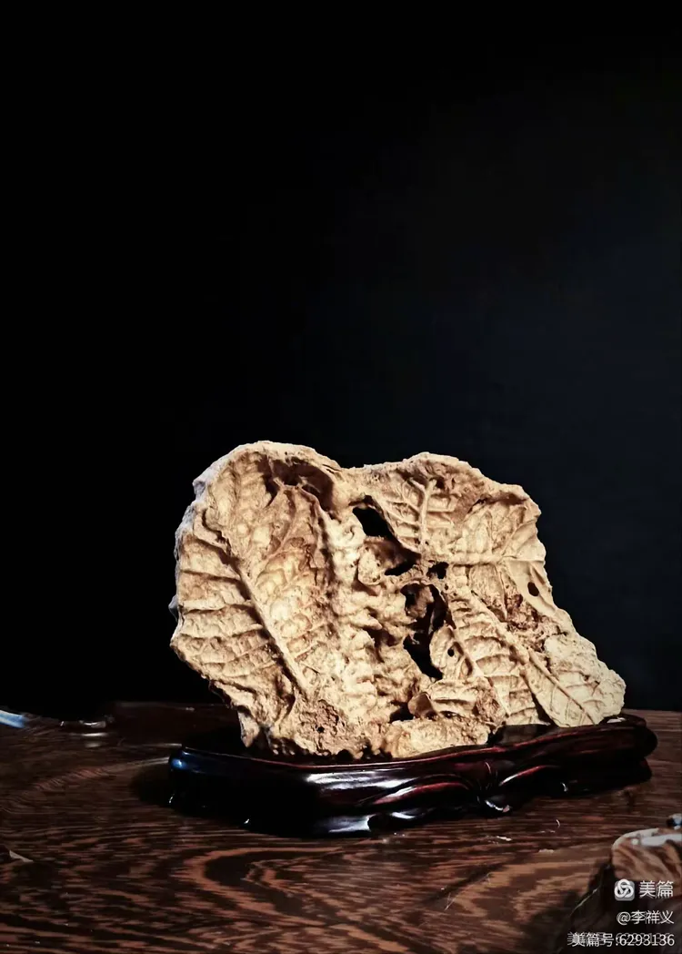 李祥义书法与藏石欣赏（下）