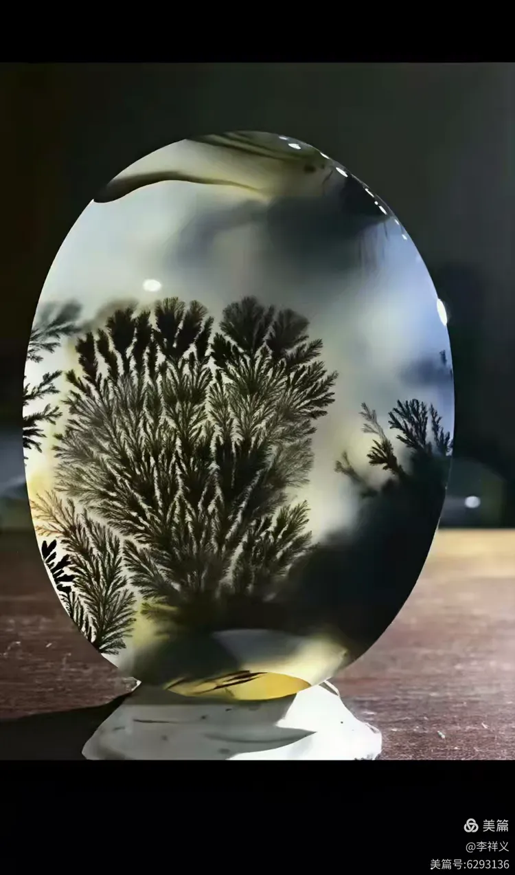 李祥义书法与藏石欣赏（下）