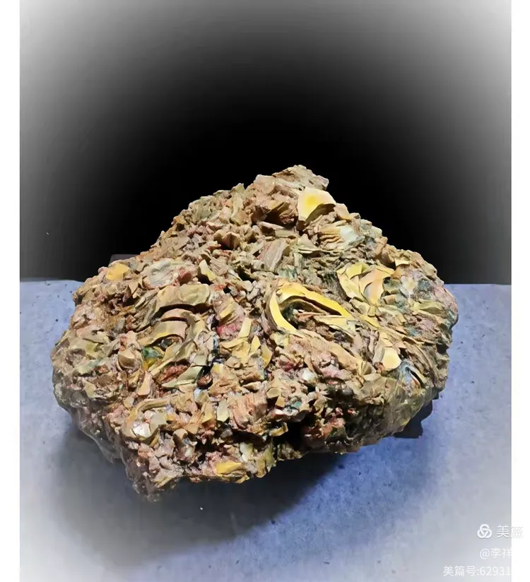 李祥义书法与藏石欣赏（中）