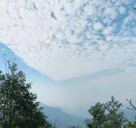 鸣花源，，位于罗浮山，山水鱼塘山景，鸟语花香桃源，旷泉水直饮，墅级山居客房，依山傍水，度假垂钓，聚会养生胜地