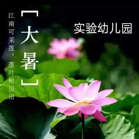 二十四节气之一【大暑】