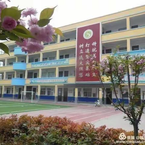 让书香伴随每一天——西街小学三三班暑假生活掠影