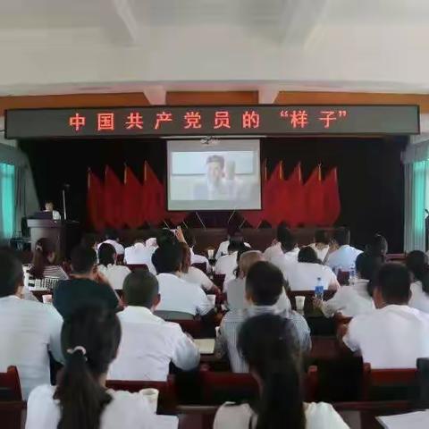 新安镇“书记谈使命 党员话初心” 活动 强担当促发展