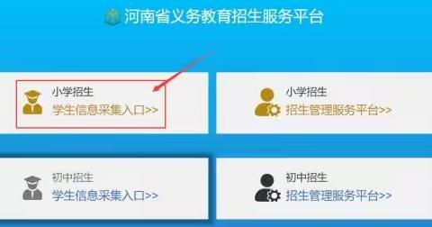 河南省义务教育招生服务平台学生报名流程（小学版）