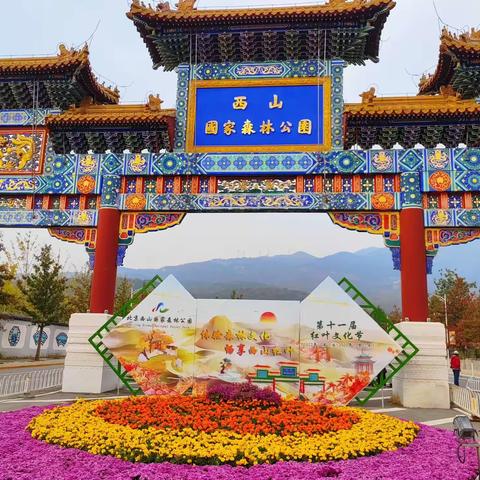 赏醉美西山红叶