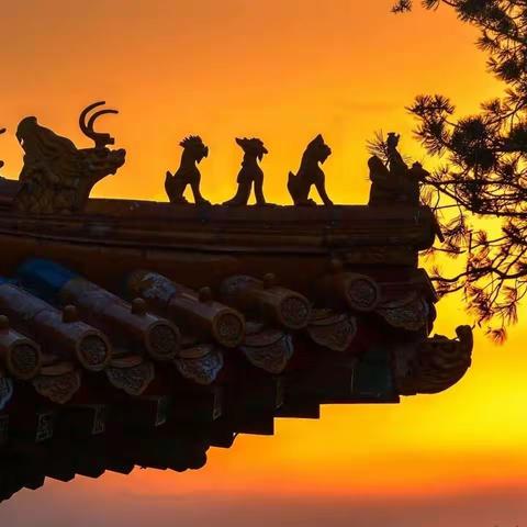 难忘2022最美的时光