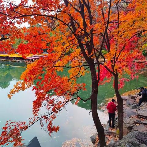 颐和园的秋天美成一幅画