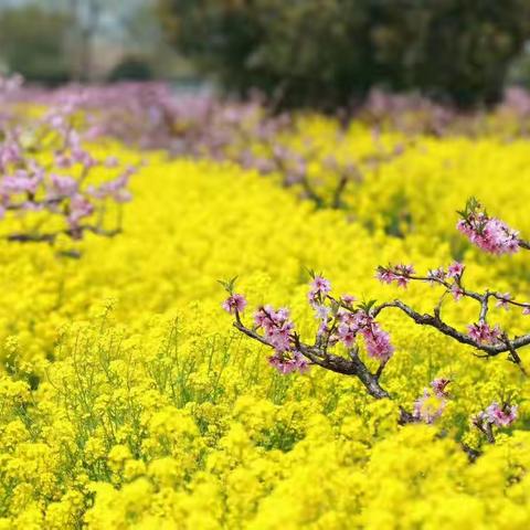 己亥杂诗（拾遗）