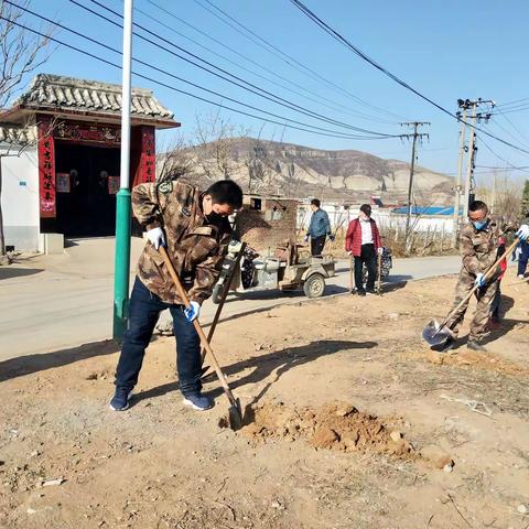 鹿泉区石井乡组织民兵积极参与植树活动