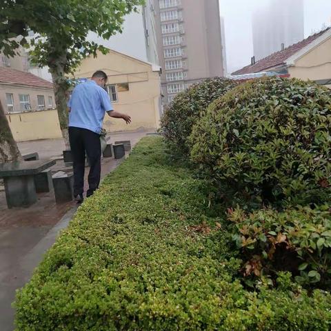 薛家岛街道社区卫生服务中心6月份月报