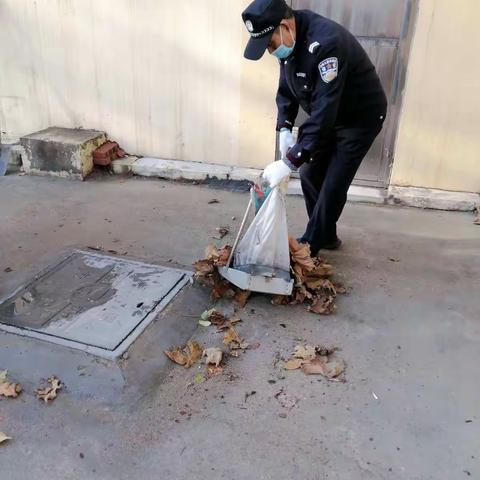 薛家岛街道社区卫生服务中心11月份月报