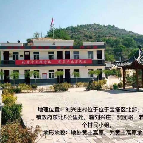 【旅游新天地 休闲河庄坪】采摘健康甜蜜果 七一向党表初心