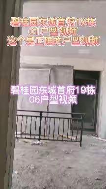 碧桂园东城首府19栋01，02，03，04，05，06所有的户型视频