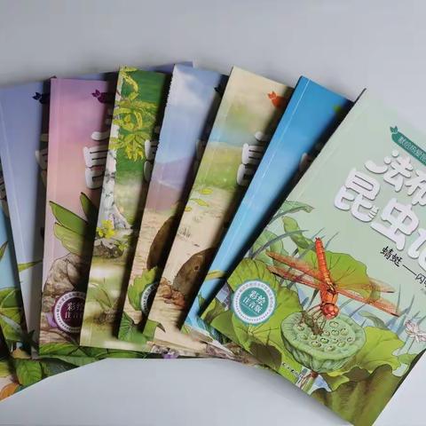 新华一校【二年四班】阅读小明星—刘婧涵