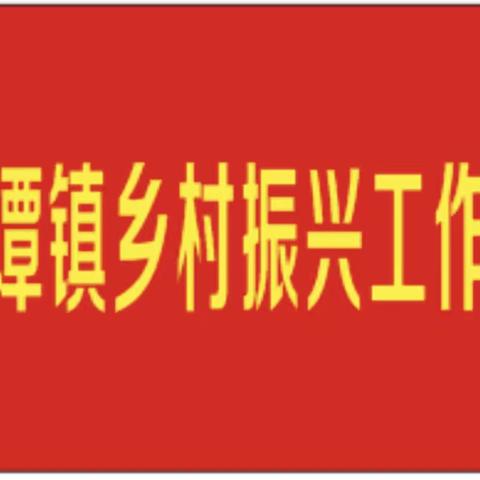 遵谭镇乡村振兴工作队管理办公室召开专题会议 传达学习习近平总书记考察海南时的重要讲话精神