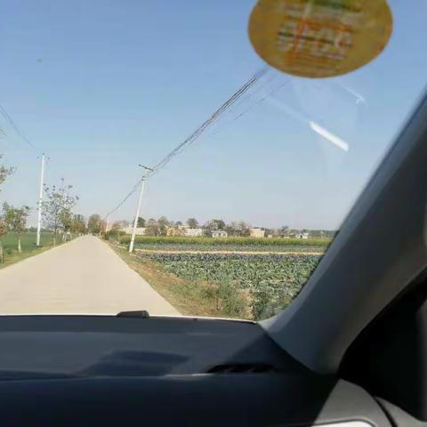 徐杨街办环保科科长杨明带领网格员日常巡查