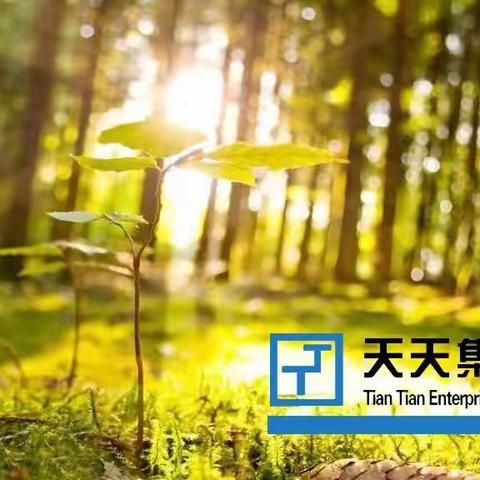 自强路-天天清洗：维护环境卫生，守护洁净家园