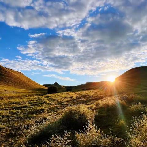 自强路-天天清洗：雨过天晴大擦洗，洗路降尘忙清洁