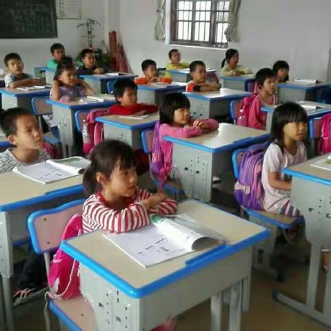 长江公益“苔花开”音美教师培训项目点“严坑小学音乐课小汇报”