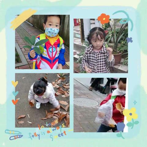 “秋遇，与你”中三班——班本课程