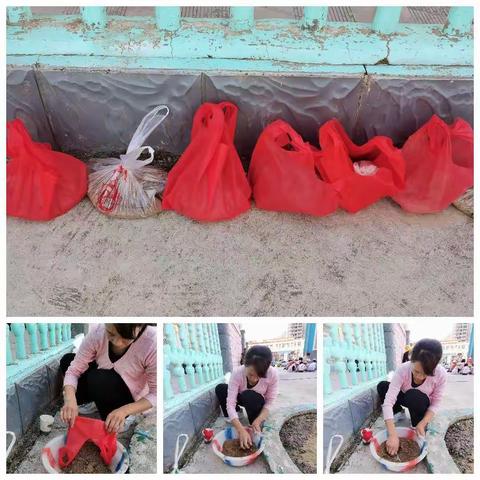 （卓尼县幼儿园）大班———玩泥巴的开心时刻