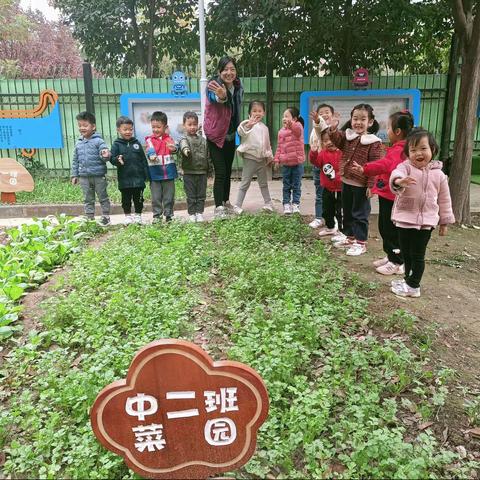 大明宫长安易居中二班﻿《香香的香菜》