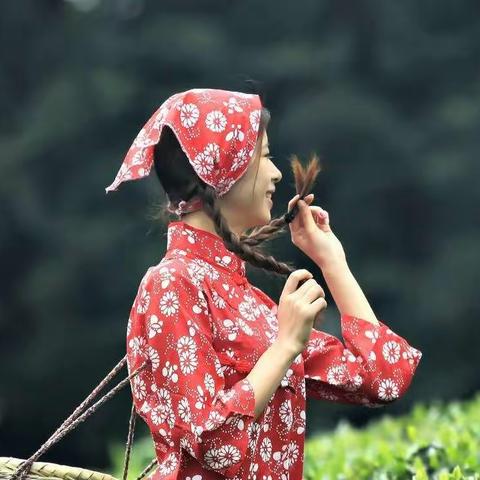 【情歌对唱】茶香夜雨