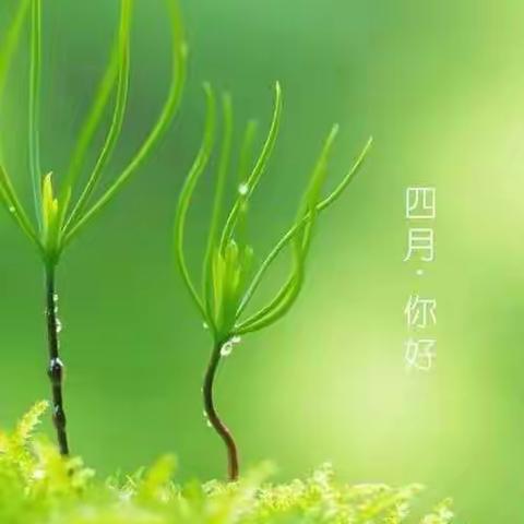 艺佳幼儿园小一班——  🌼人间最美四月天🌼