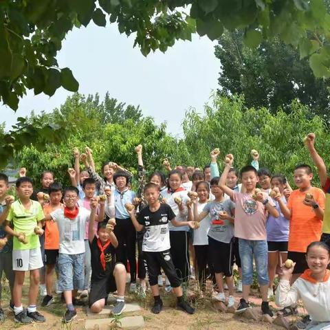 满目硕果，满心欢喜——跟踪桃子生长过程之摘桃记