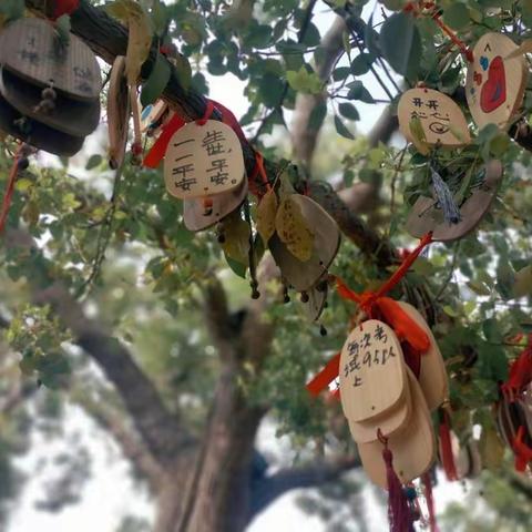 “花涧春晓•牛运龙溪”玉环支行女神节活动来袭