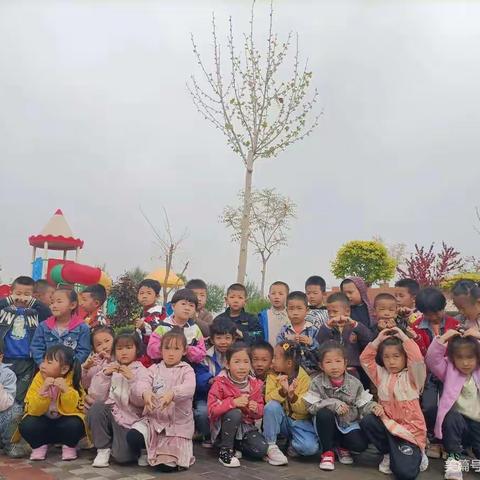 【启智尚美 求真修德】守护一抹绿色 让爱溢满四季——平罗县第五幼儿园中三班“我为小树穿新衣”活动纪实