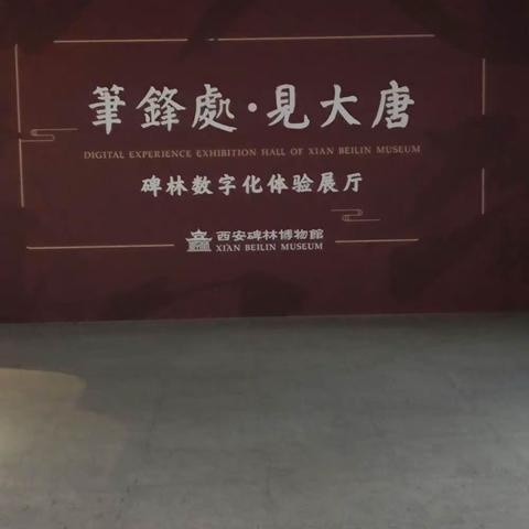 碑林三次参观学习摄影剪辑