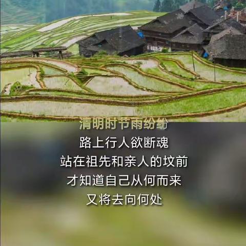 又是清明