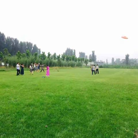 奇遇雁鸣湖放飞童年梦想