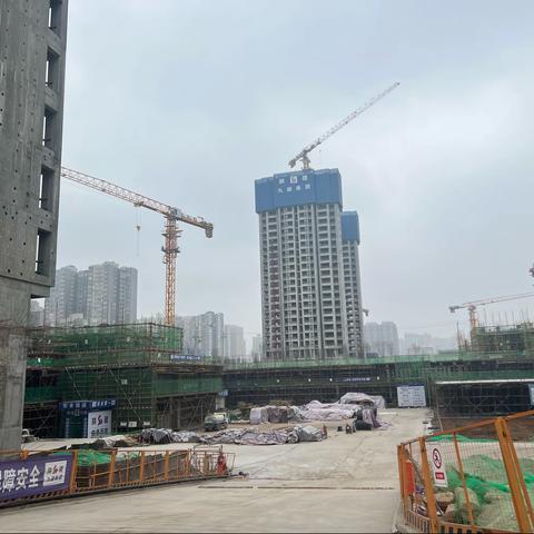 2023年2月11日未央宫街道专职网格员工作日志