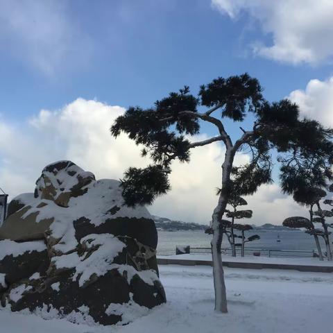雪中情