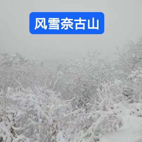 风雪奈古山