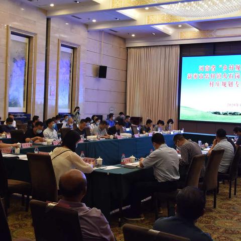 岳村镇火石岗村苟堂镇申门村村庄规划专家评审会召开