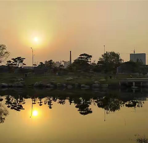 随拍记录&银凤湖小景