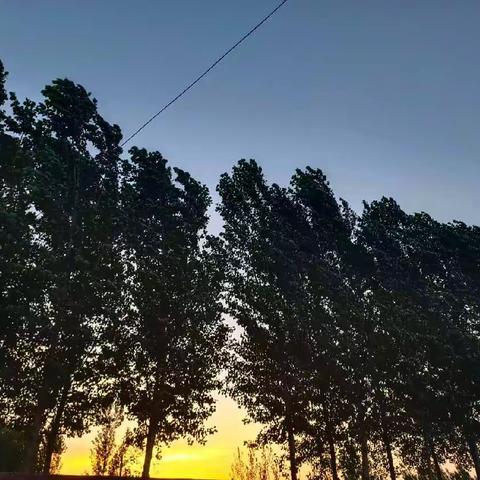 第十七周教学反思  曲阜红军小学  范梦娜