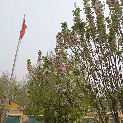 时光不语，静待花开，继续我们的网课学习