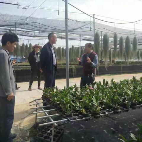 刘刚同志到大田镇检查指导国家脱贫攻坚成效考核迎检工作