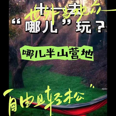 十一去哪儿玩🚗